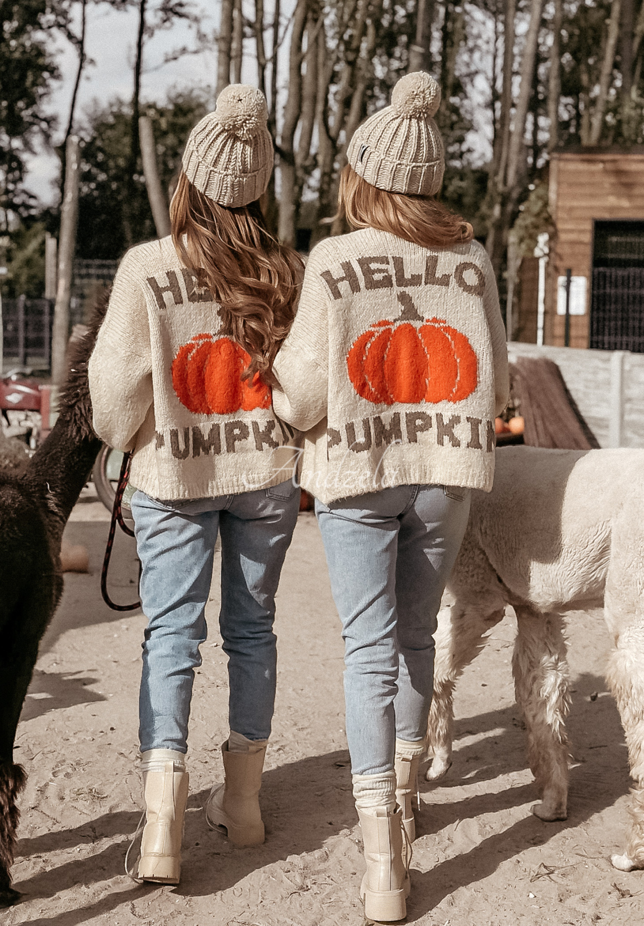 Cardigan oversize Hello Pumpkin