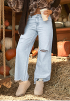 Pantaloni din denim wide leg Not My Type albastre